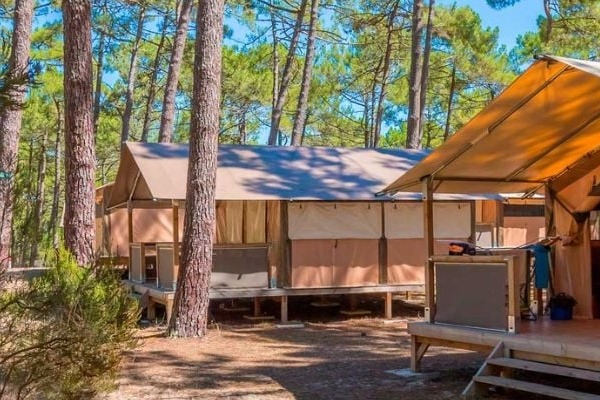 Gestion des glaçons en camping : Pourquoi externaliser votre point de vente cet été dans le Var ?